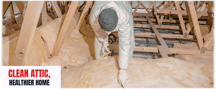 Attic Cleaning Boca Raton
