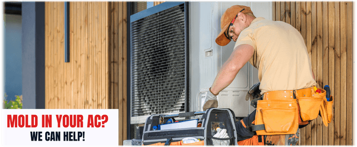 HVAC Mold Removal Boca Raton
